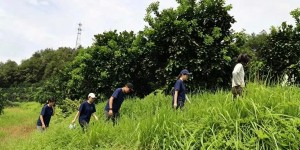 金柚香里话振兴 红色热土践初心